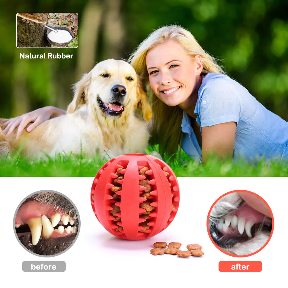 Dog Treat Chew Toy